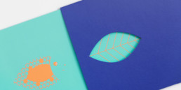 Carte et pochette avec découpe, illustrations, pantone orange fluo, détail